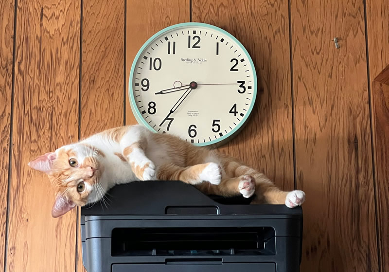 Windows 11 zakończy wsparcie dla starych sterowników drukarek V3 i V4 po następnym aktualizacji