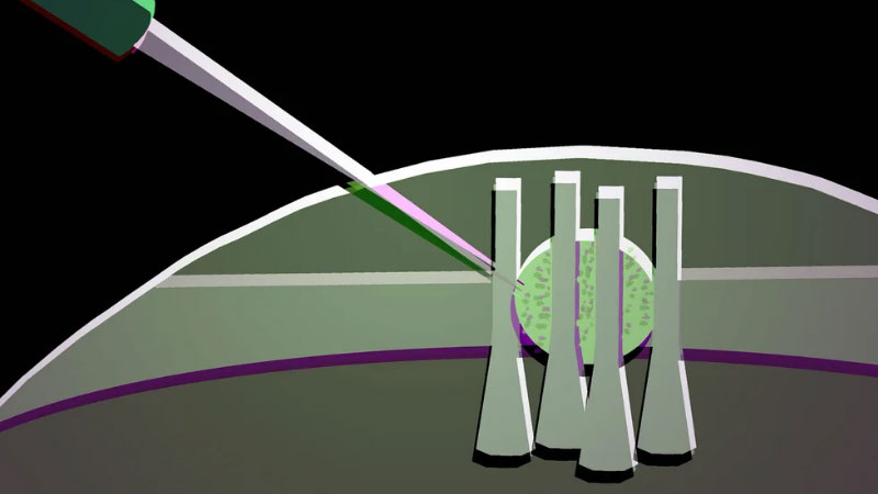 Naukowcy przekształcili kroplę płynnego kryształu w elastyczny tranzystor optyczny do przyszłych chipów fotonicznych