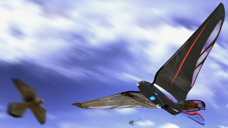 Inżynier wyprodukował 10-gramową robotyczną ptak, który rozkręca się do 31 km/h i jest sterowany przez smartfon