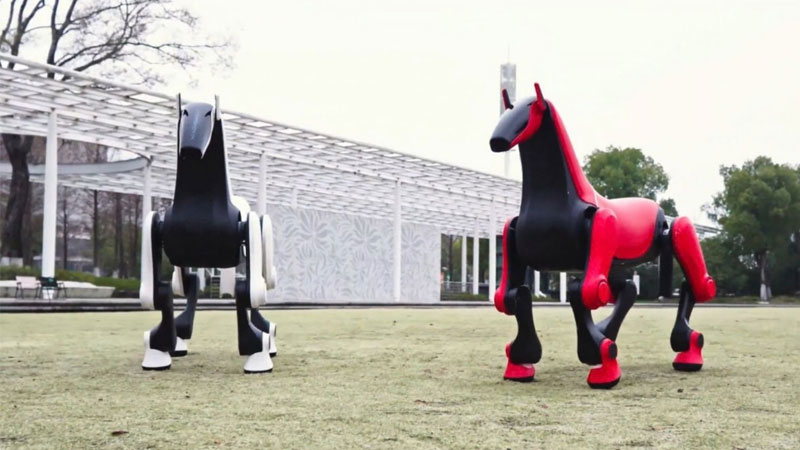 Chińscy inżynierowie opracowali „roboknia”, zdolną przewozić jeźdźca do 50 kg po terenie szlachetnym.