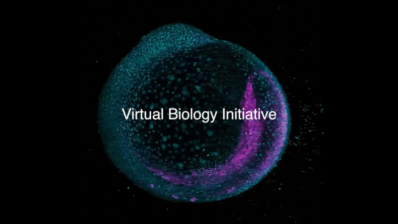 Biologiczny ośrodek Marka Zuckerberga rozpoczął przyspieszanie terapii wszystkich chorób, wykorzystując modele AI komórek