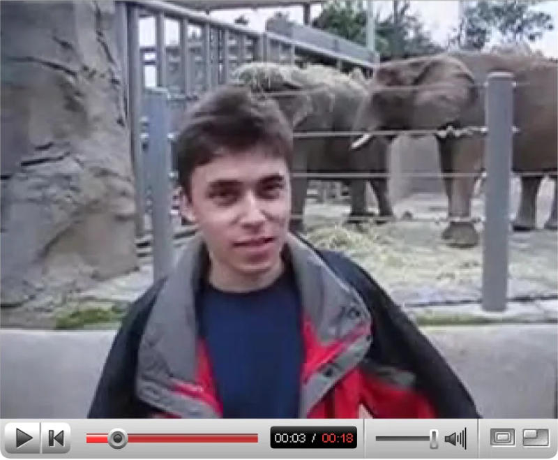 Pierwsze filmy z YouTube trafiły do kolekcji muzealnej.