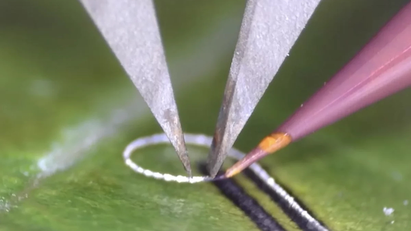 Inżynierowie stworzyli urządzenie umożliwiające nanoszenie komponentów elektronicznych na żywe tkanki i implantu medyczne bez uszkodzeń