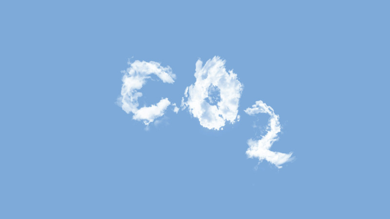 Setki tysięcy przekształciło się w dziesiątki milionów: sztuczna inteligencja przyspieszyła wzrost popytu na kredyty węglowe wśród gigantów technologicznych